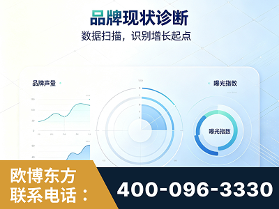 兴安-品牌现状诊断